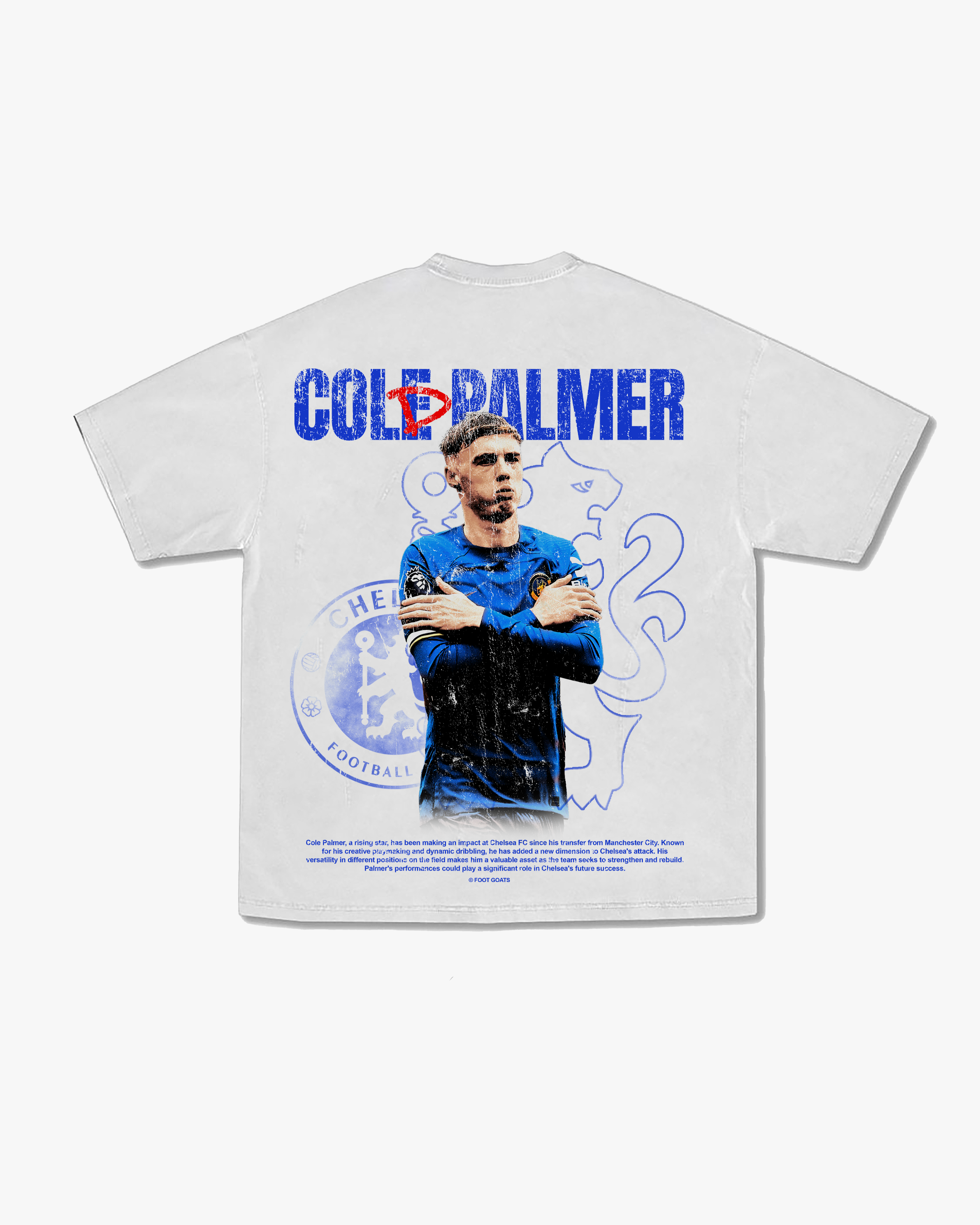 PALMER TEE WHITE